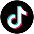 TikTok Logo